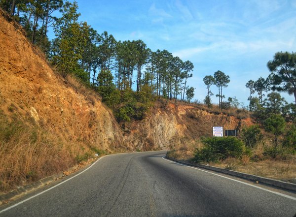 Lesnouveauxcoursiers